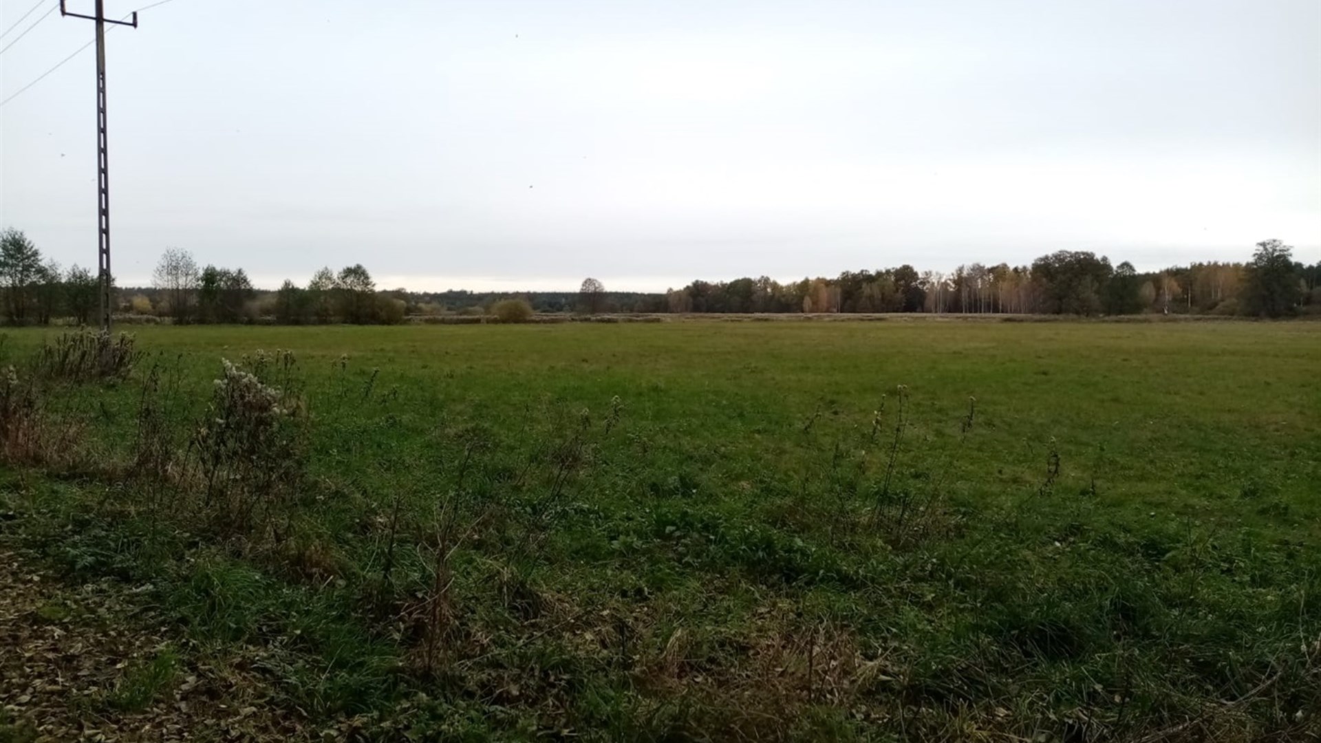 Działka na sprzedaż